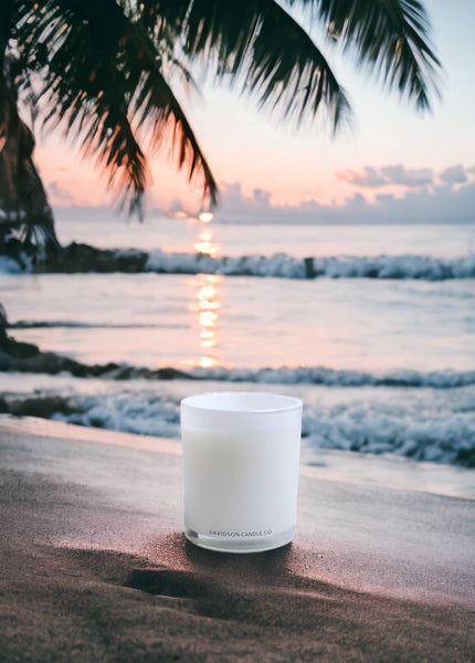 Davidson Candle Company LLC - 11 oz glass jar candle in box : Santal & Coconut