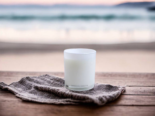 Davidson Candle Company LLC - 11 oz glass jar candle in box : Santal & Coconut