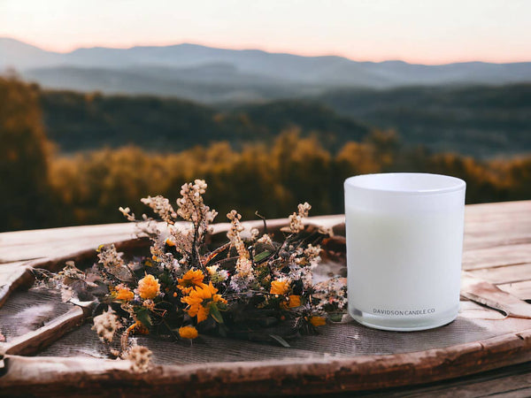 Davidson Candle Company LLC - 11 oz glass jar candle in box : Santal & Coconut