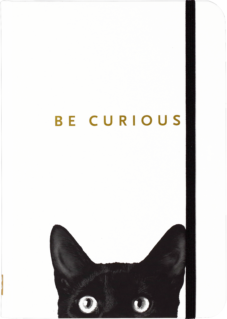 Peter Pauper Press - Curious Cat Journal