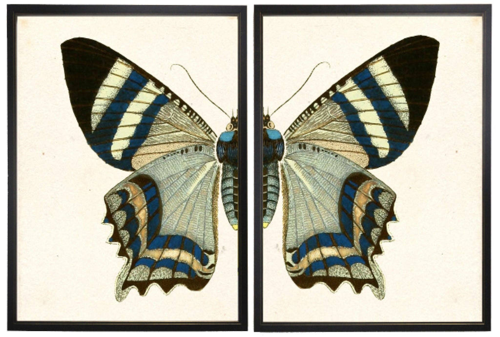Diptych Grey & Black Butterfly