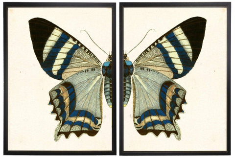 Diptych Grey & Black Butterfly