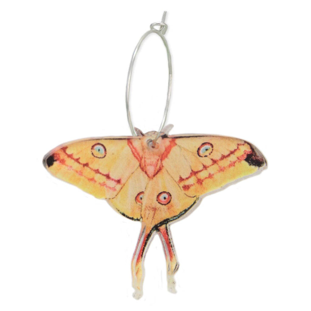 ZAD - Buttercup Yellow Luna Moth Silver Hoop Earrings