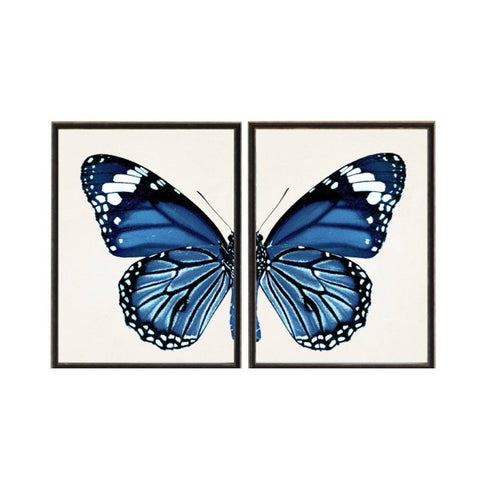 Antique Curiosities Inc - Diptych Navy Butterfly
