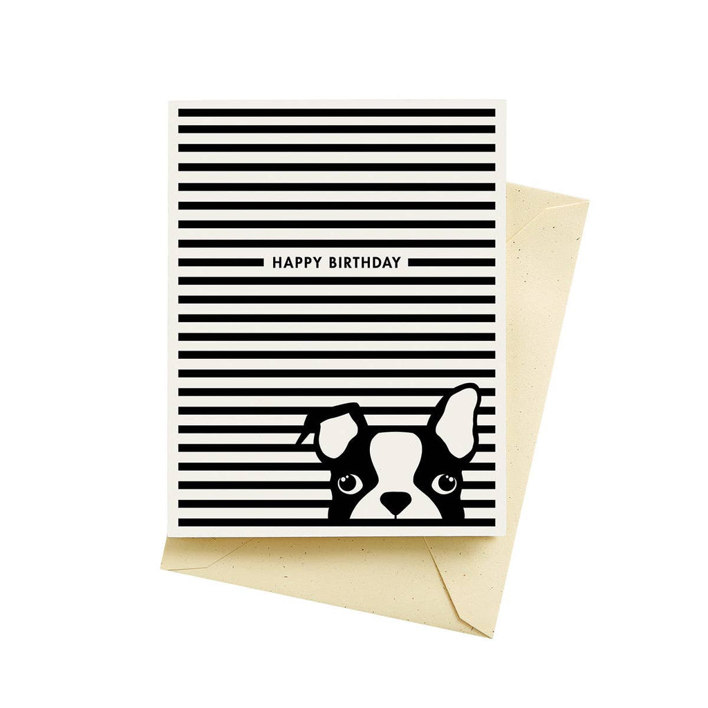 Seltzer Goods - Dog Stripes Birthday Cards