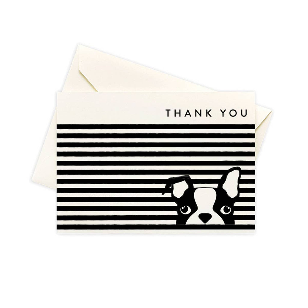 Seltzer Goods - Dog Stripe Boxed Notes