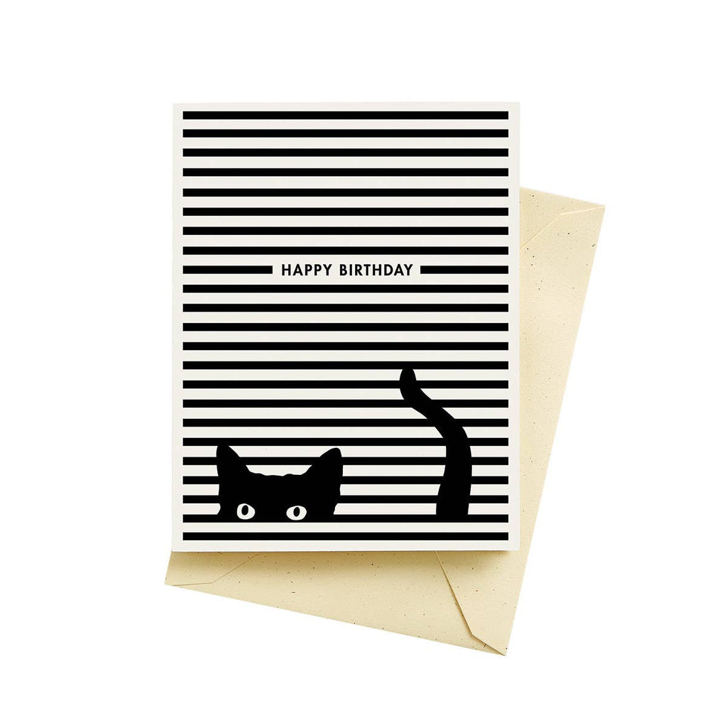 Seltzer Goods - Cat Stripes Birthday Cards
